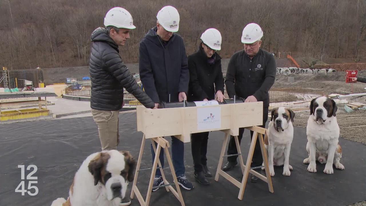 À Martigny (VS), le chantier du parc Barryland a démarré ce matin. Un projet de 20 mille mètres carrés dédiés aux chiens Saint-Bernard