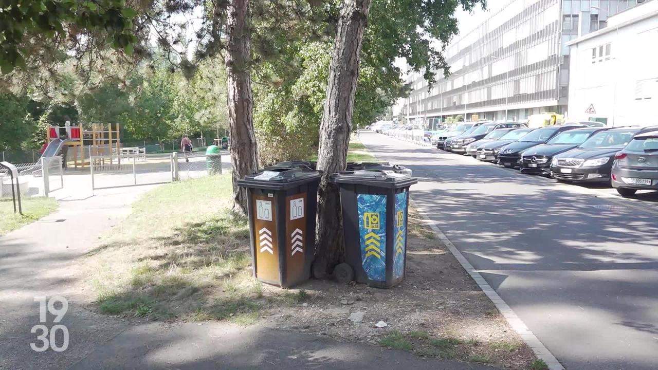 Genève veut introduire l’obligation du tri des déchets, mais les communes ne sont de loin pas toutes exemplaires