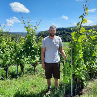 Olivier Fleury au milieu de ses vignes, à Buix. [RTS - Delphine Sage]