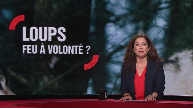 Loups: feu à volonté?