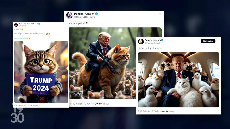 Les déclarations de Donald Trump qui accuse les migrants de manger des chiens et des chats fait le buzz sur les réseaux