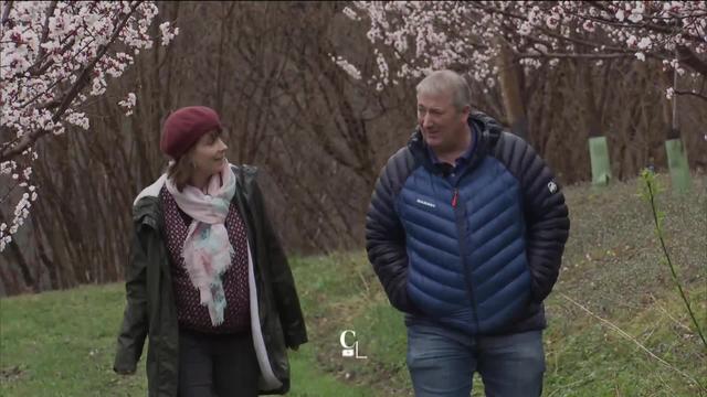 Entretien avec Fabrice Gaillard, producteur abricots