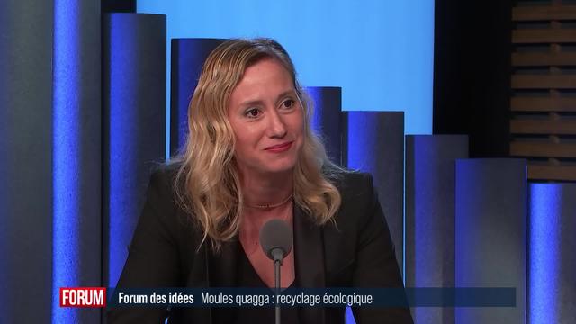 Forum des idées - Des moules quagga transformées en ciment carbone et écopavés drainants