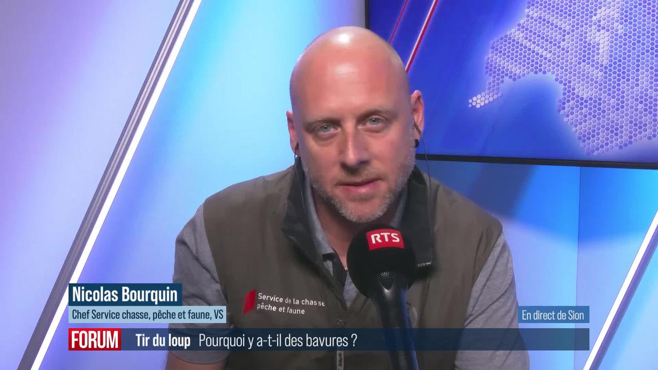 Pourquoi y-a-t-il des erreurs dans les tirs de loups? Interview de Nicolas Bourquin