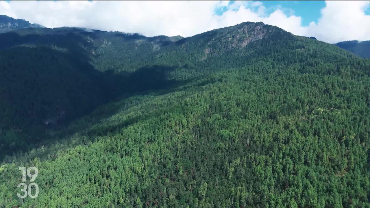 Le Bhoutan est devenu le premier pays à présenter un bilan carbone négatif. Une prouesse rendue possible grâce à ses forêts