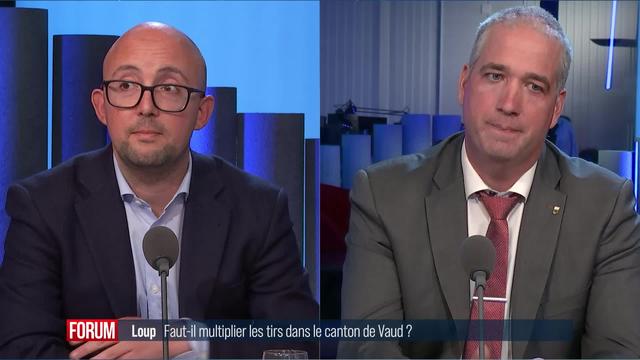 Faut-il multiplier les tirs de loups dans le canton de Vaud? Débat entre Nicolas Bolay et Alberto Mocchi