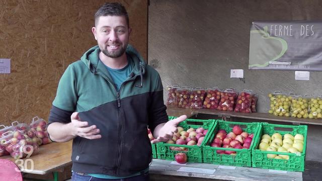 Les agriculteurs demandent plus de transparence sur les marges de la grande distribution. Exemple avec le marché des pommes