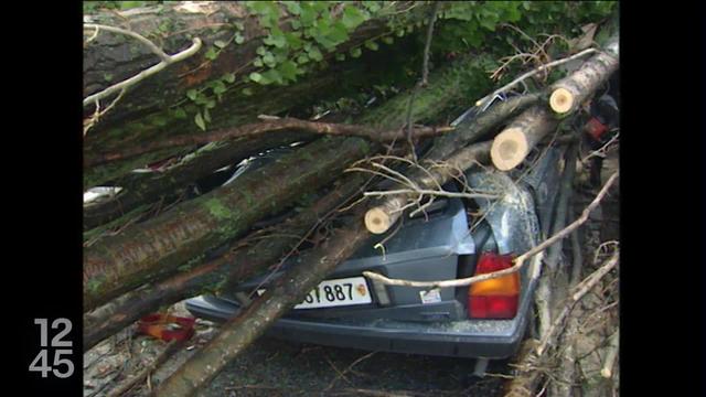 Il y a 25 ans, la tempête Lothar ravageait la Suisse