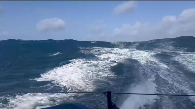 Voile, Vendée Globe: le point après 28 jours de course