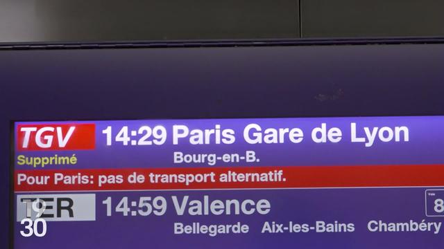 Tous les TGV reliant Paris à la Suisse supprimés aujourd'hui, après de violents orages et des chutes d'arbre en Bourgogne
