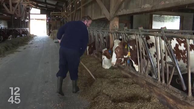 Les chambres d’agriculture suisses lancent un appel à une rémunération décente pour les paysans