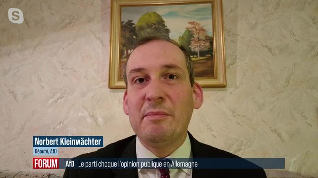 L’Allemagne choquée par le "plan de rémigration" du parti d’extrême-droite AfD : interview de Norbert Kleinwächter (vidéo)