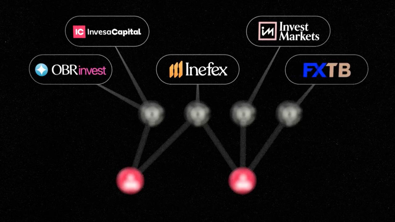 Le réseau de plateformes d'investissement encore actives révélé par SRF Investigativ. [SRF Investigativ]