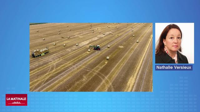 Reportage en Allemagne, la colère des agriculteurs