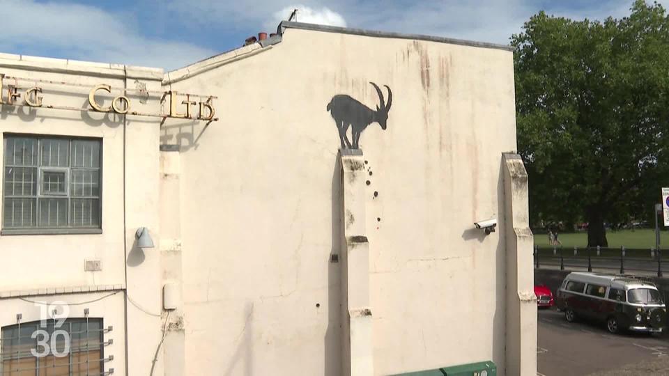 Depuis une semaine, l’artiste Bansky est l'auteur de dessins d'animaux sur les murs de Londres