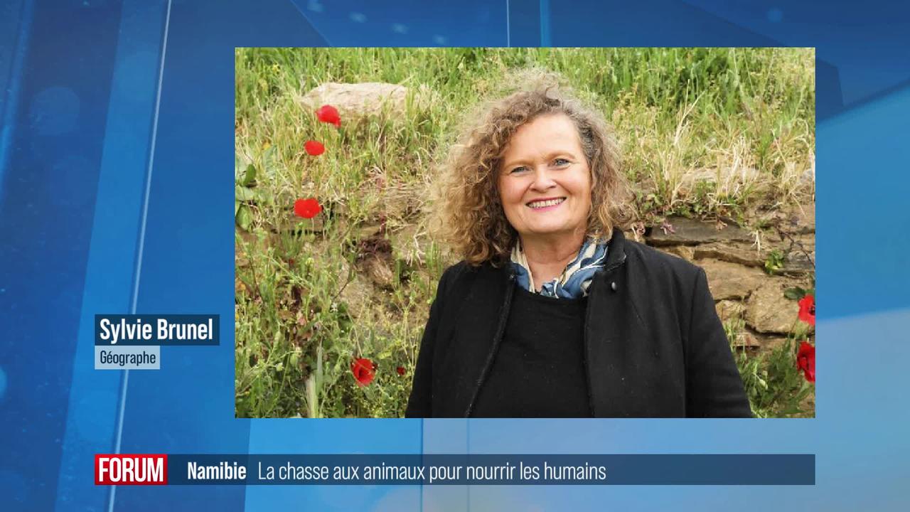 La Namibie autorise la chasse d’animaux sauvages pour nourrir les humains: interview de Sylvie Brunel (vidéo)