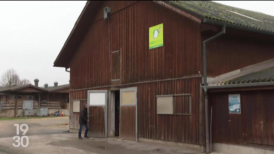 Colère des agriculteurs en Europe: le malaise touche aussi la Suisse.