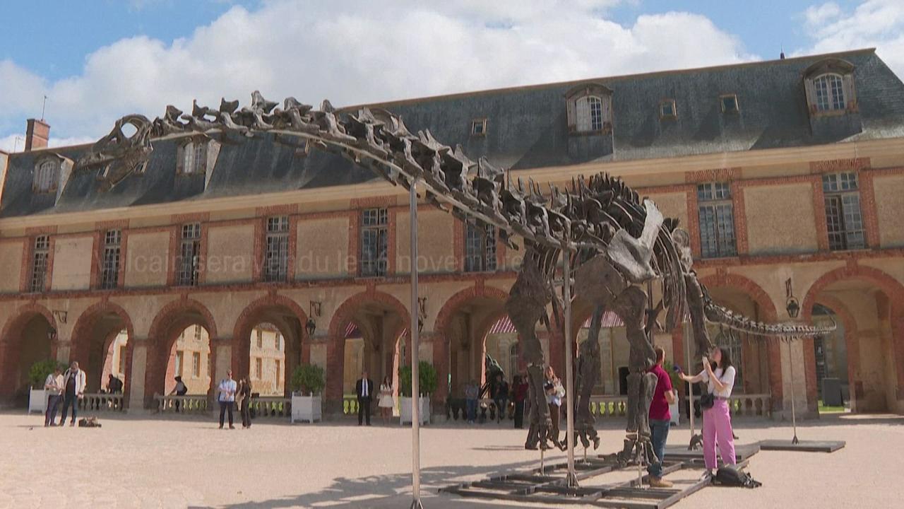 "Vulcain", le plus grand dinosaure jamais mis aux enchères est exposé au sud-ouest de Paris