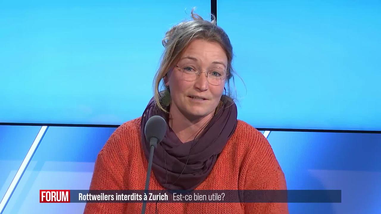 Interdictions des rottweilers: sont-ils vraiment la source du problème? Interview de Michèle-Ouarda Dardouri