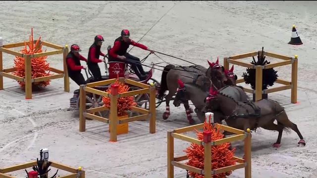 Attelage: revivez le superbe passage de Jérôme Voutaz (SUI) qui fait lever le public de Palexpo