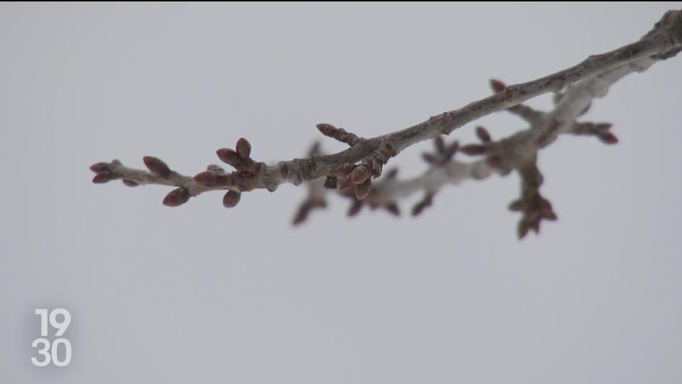 La nature peut enfin se reposer avec l’arrivée des températures hivernales