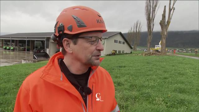 Des travaux d'abattage se déroulent dans le Val-de-Ruz pour des raisons sanitaires et sécuritaires. Entretien avec Dominique Flückiger, chef de l’Office de l’entretien, au Service des ponts et chaussées de Neuchâtel