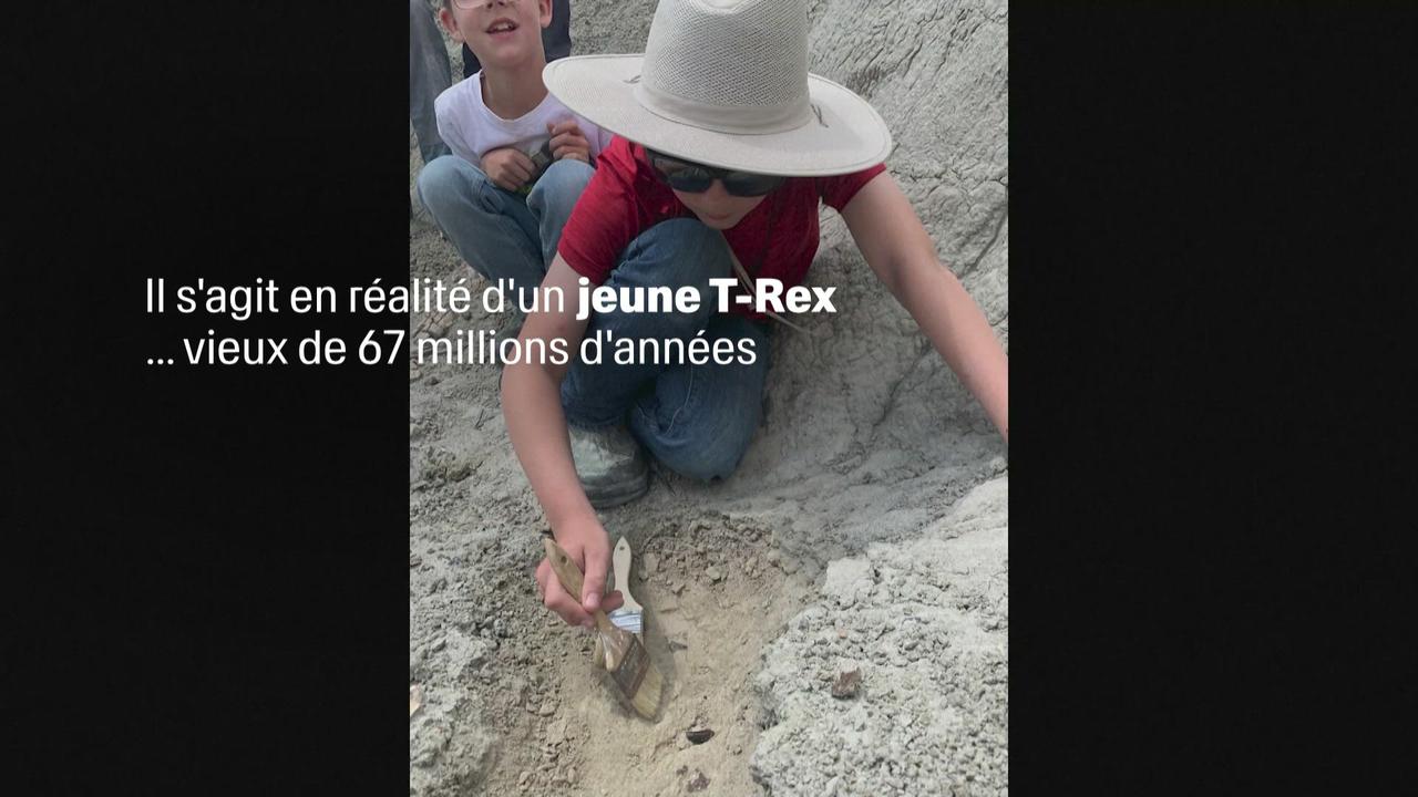 Aux Etats-Unis, trois enfants découvrent les restes d'un T-Rex