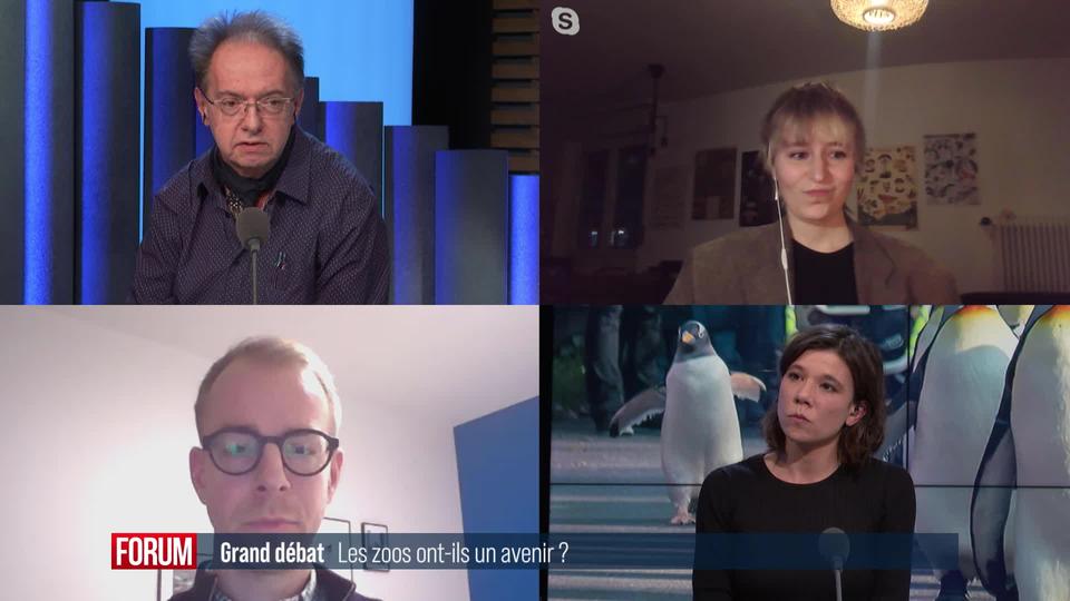 Le Grand débat - Les zoos ont-ils encore un avenir?