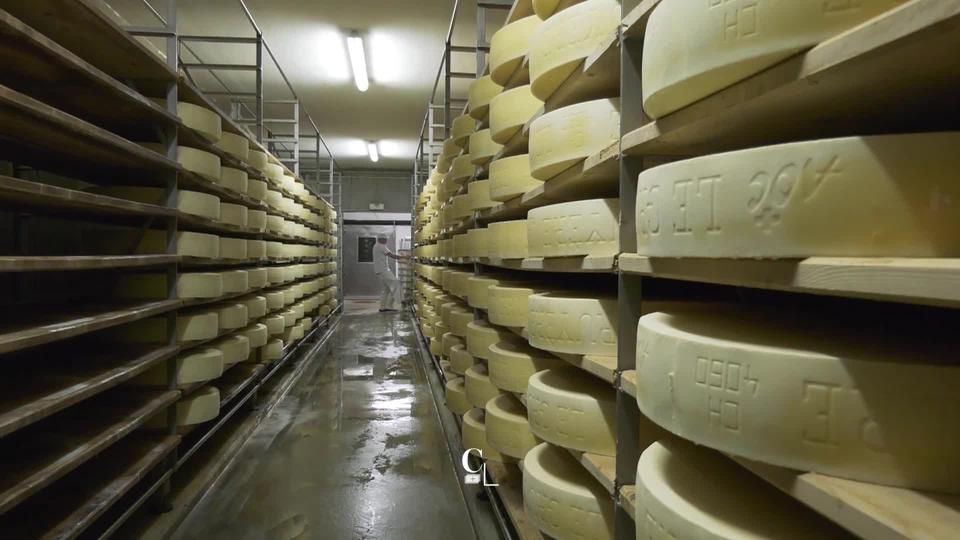 Fromager, un métier physique