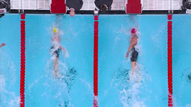 50m nage libre, finale messieurs: l'Australien Cameron McEvoy en or devant Benjamin Proud (GBR) et Florent Manaudou (FRA)