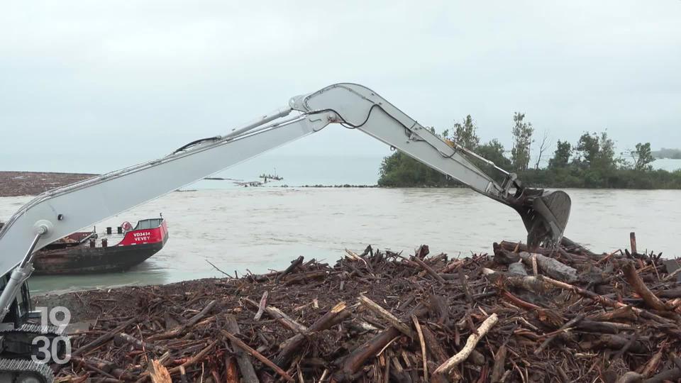 Un barrage flottant à l’embouchure du Rhône piège les troncs d’arbres, charriés par les cours d’eau