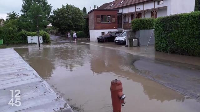 De violentes intempéries ont provoqué des inondations dans la région genevoise dimanche en fin d’après-midi