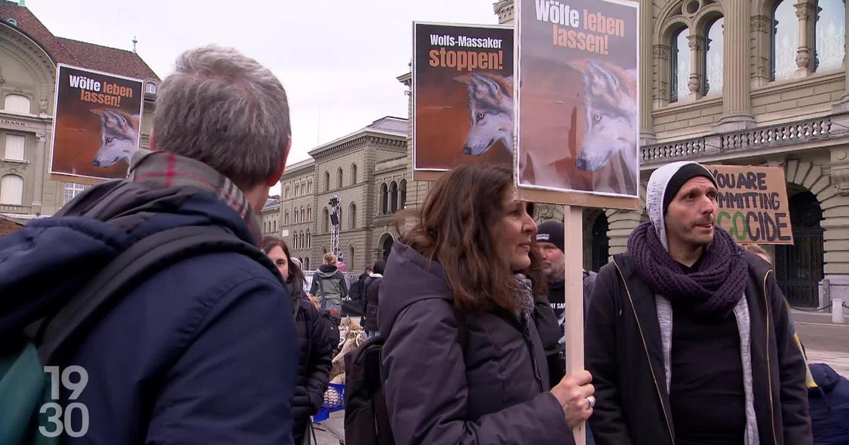 Manifestation à Berne contre les tirs de régulation du loup