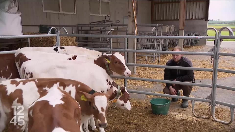 L’Office fédéral de l’agriculture répond à la pétition de Révolte agricole. Une intensification du dialogue est souhaitée