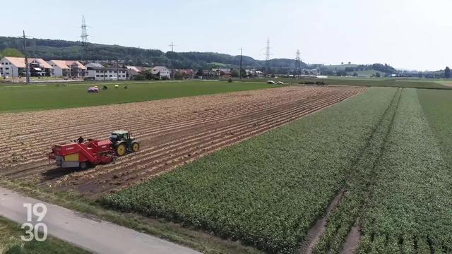 Les paysans ne devront finalement pas réserver une partie des terres arables pour la biodiversité