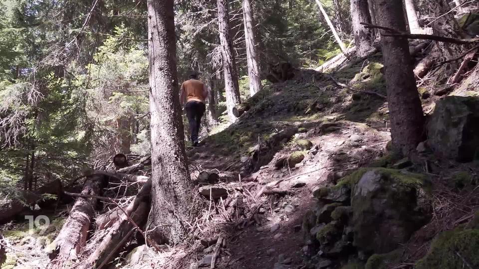 Près de 1000 km de sentiers de randonnées sont actuellement fermés en Suisse suite aux intempéries de ces derniers mois