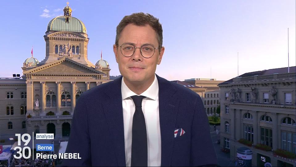 Rapport d'experts sur la politique de sécurité : l'analyse de Pierre Nebel