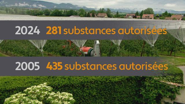 L'usage des pesticides : un débat des plus clivants