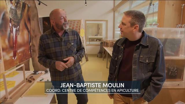Entretien avec Jean-Baptiste Moulin, coordinateur au centre de compétences en apiculture