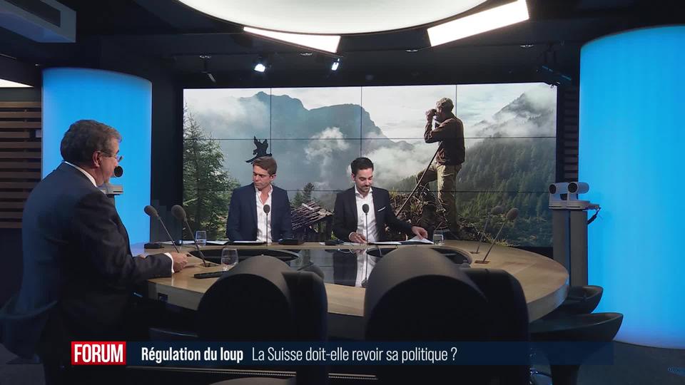 La Suisse épinglée pour ses tirs préventifs sur les loups: débat entre Delphine Klopfenstein Broggini, Pascal Broulis et Nicolas Kolly