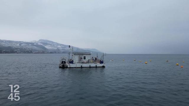 Les températures glaciales des derniers jours pourraient favoriser un brassage complet des eaux du Léman, une première depuis 2012