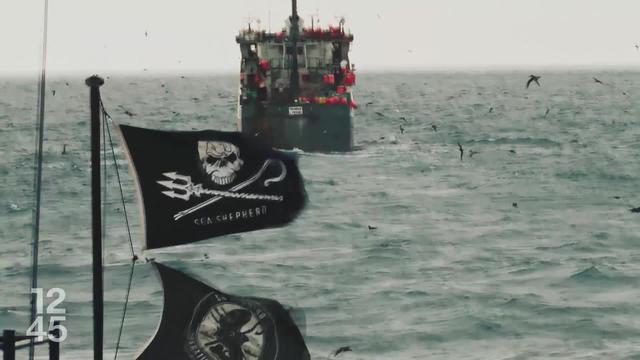 Le militant écologiste Paul Watson a été arrêté dimanche dernier au Groenland