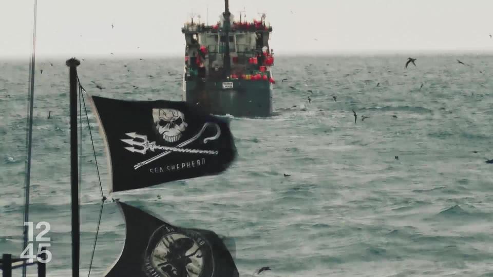 Le militant écologiste Paul Watson a été arrêté dimanche dernier au Groenland