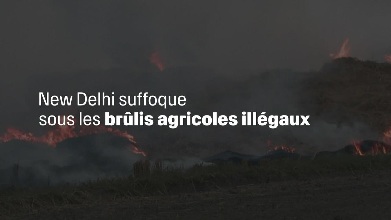 Delhi suffoque sous les brûlis agricoles illégaux