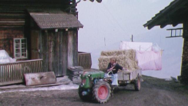 Mémoire(s) de villages - Val d'Illiez - Histoires de paysans