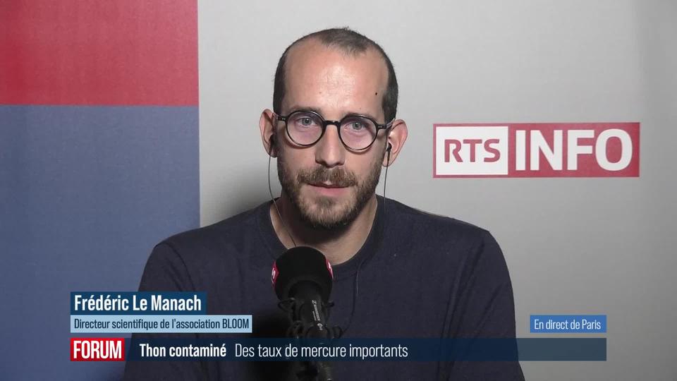 Le thon en conserve européen serait contaminé au mercure, selon deux ONG: interview de Frédéric Le Manach