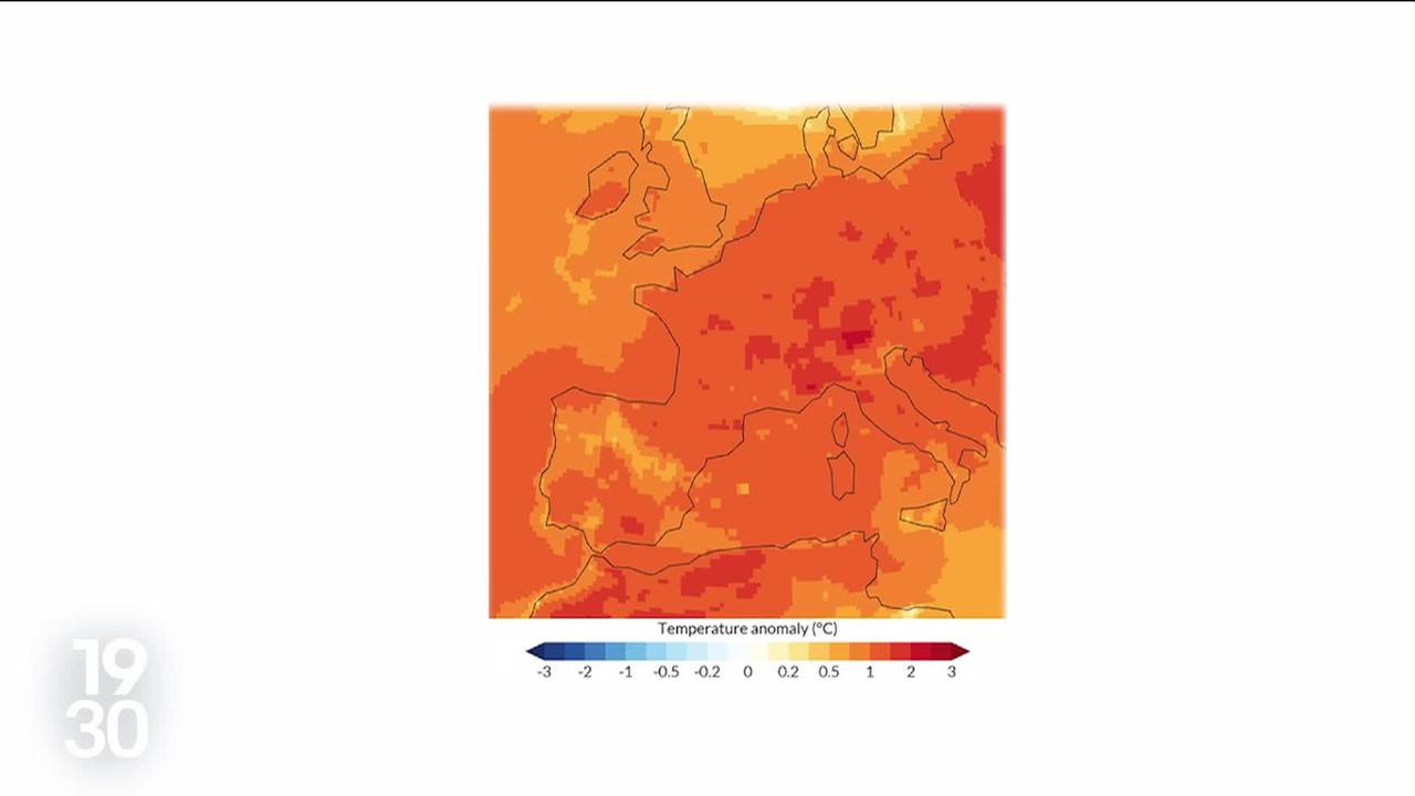 Records de chaleur en 2023. L’Europe n’a jamais autant souffert de stress thermique