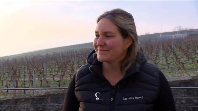 Entretien avec Sophie Porret, viticultrice-œnologue chez Les vins Porret