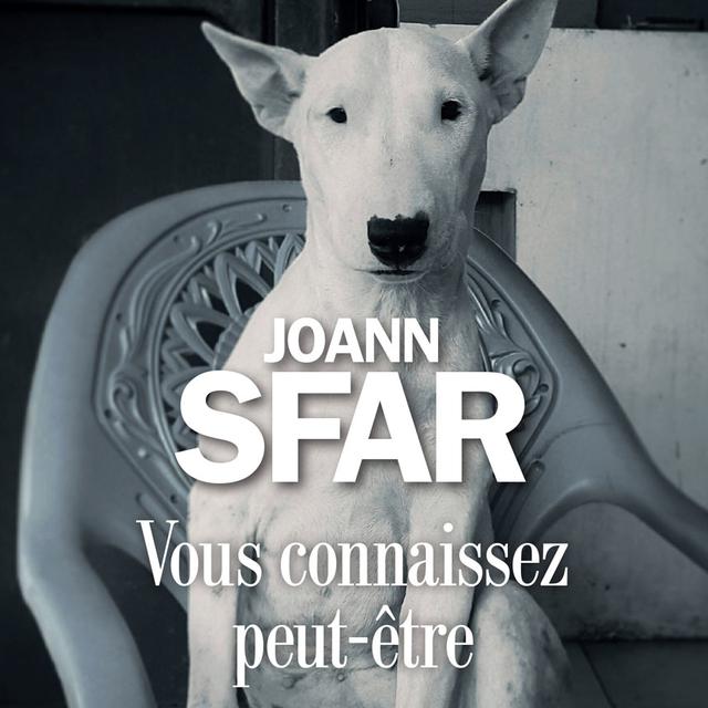Couverture du roman "Vous connaissez peut-être" écrit par Joann Sfar.