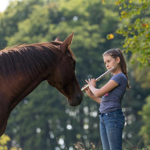 Une petite fille joue de la flûte traversière à un cheval.